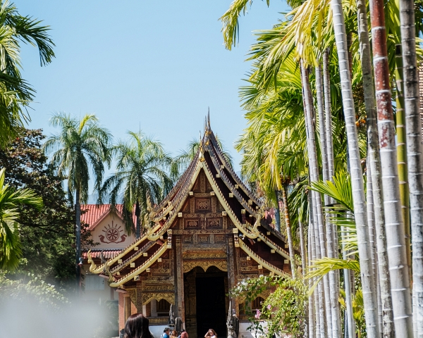 image-of-what-to-do-in-chiang-mai-highlights-tips