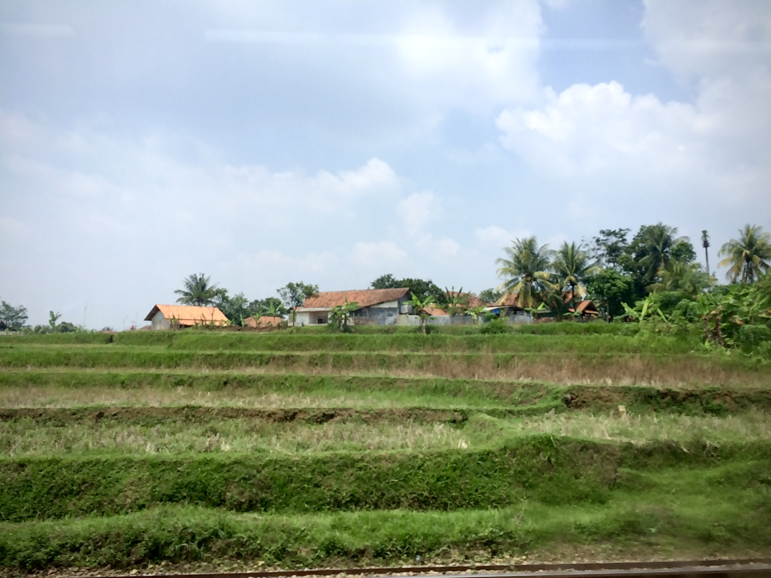 View from the train on Java