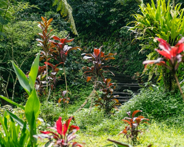 bali-git-git-waterfall